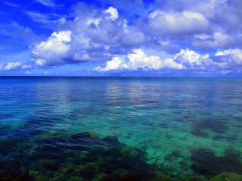 Blue Lagoon Resort
